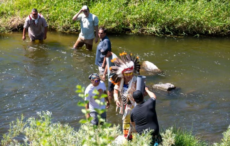 An adult chinook is swimming in Hangman Creek for the first time in more than 100 years, a symbolic victory for the Coeur d’Alene Tribe