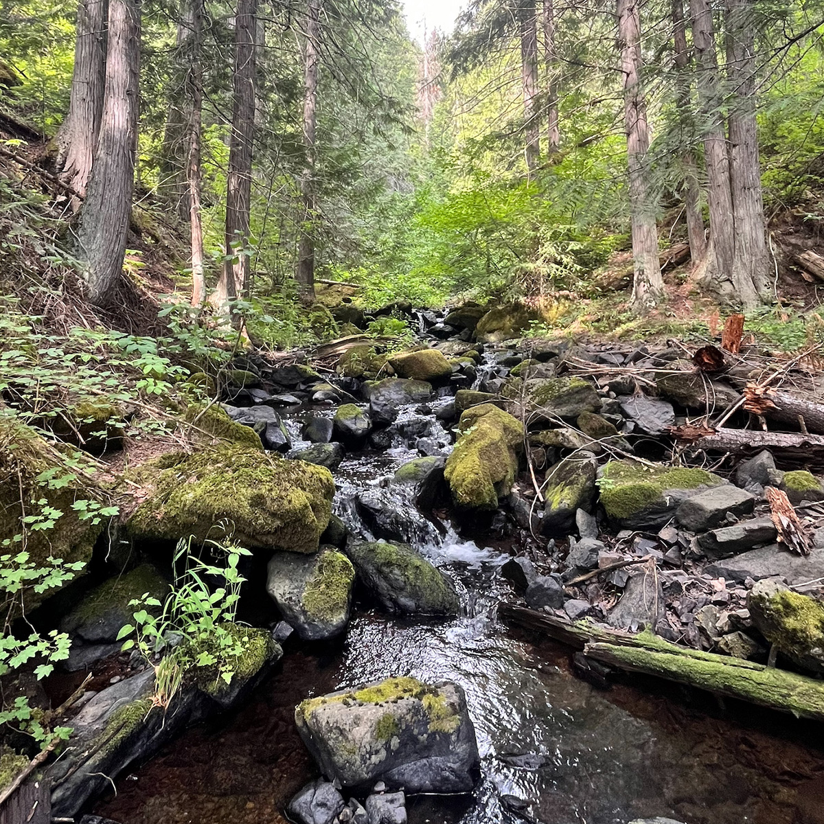 spokane river